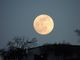 La luna piena