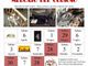 La locandina dell'evento
