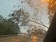 Foto tratta dal canale Telegram di Dati Meteo Asti