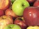 Confagricoltura Piemonte: con siccità e caro energia frutticoltura a rischio