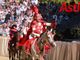 Il capitano del Palio di Asti, Michele Gandolfo