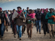 Domani al CPIA di Asti verrà presentato il &quot;XXXII Rapporto Caritas - Migrantes sulle Migrazioni&quot;