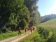 L'Asd Nordic Walking Asti, continua le sue camminate per la salute