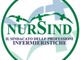 Logo Nursind