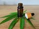Olio di CBD e autismo: Cosa devono sapere i genitori