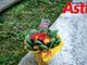 Un omaggio alle Brusaji (MerfePhoto)