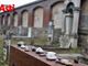 Alcuni scatti del cimitero ebraico di Asti (Merphefoto)