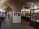 Museo Paleontologico di Asti