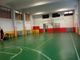 Torna il baseball a Nizza Monferrato. Nasce la Nuova Voluntas Baseball Nizza Green Sox
