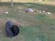 Parco del Borbore vandalizzato o preda di cinghiali?
