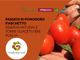 Al NaturaSì di Asti, tour tra i presidi Slow food bio Al NaturaSì di Asti, tour tra i presidi Slow food bio