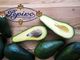 Gelati Pepino: una crescita sostenibile dall'agricoltura all'efficientamento energetico