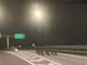 Asti: la foto dei cinghiali in autostrada è diventata virale in poche ore