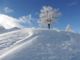 Le vacanze invernali si passano in Piemonte. Secondo il sondaggio Metis, il 35% degli italiani pensa a una vacanza  nel prossimo inverno e di questi il 49% sceglierebbe il Piemonte