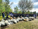 Nel giorno della Terra il Piemonte si è liberato di quasi 22mila chili di rifiuti di plastica abbandonati
