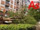 Ad Asti prosegue la messa a dimora di nuove piante, in via Rosselli 4 nuovi platani