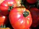 Il pomodoro Cerrato d'Asti