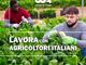 Cia lancia la piattaforma “Lavora con agricoltori italiani”. Sos manodopera: piattaforma su web per far incontrare domanda e offerta