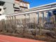 &quot;Il verde intorno al Palazzetto dello Sport di Asti funziona da barriera anti smog: la potatura è eccessiva&quot;