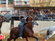 Palio una vigilia incerta: buone prove di San Lazzaro, Nizza, San Martino San Rocco