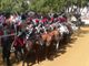 Il Quarto Reggimento dei Carabinieri a cavallo ha reso omaggio alla Città di Asti [VIDEO]