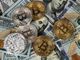 Un messaggio ritrovato per gli appassionati di criptovalute