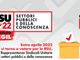 Elezioni per il rinnovo Rsu Cgil dei settori pubblici e della conoscenza. &quot;Una grande prova di democrazia&quot; [VIDEOINTERVISTA]