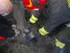 Capriolo intrappolato in un cancello. A Valfenera intervengono i vigili del fuoco