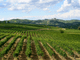 Domani è San Martino: in chiusura della Campagna Agraria 2021/2022 Confagricoltura fa il punto sui dati dell’annata   
