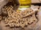 Confagricoltura: aumentano i prezzi dei cereali e della soia, allevamenti sotto pressione