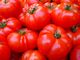 Dalla Regione un milione di euro per la distribuzione di cibo ai più bisognosi