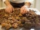 Inizia oggi ad Asti il lungo week end della Fiera Regionale del Tartufo