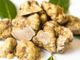 Il tartufo è materia di studio. Il prezioso fungo entra negli istituti alberghieri