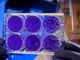 Coronavirus: 4 dei 34 astigiani ad Alassio risultati positivi al test (VIDEO)