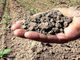 Per l’agricoltura piemontese 26 milioni di euro annuali
