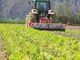 Agricoltura: dalla Regione in arrivo 12,7 milioni di euro per le aziende agricole