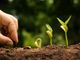 Accordo di collaborazione tra la Regione e Unioncamere Piemonte per un progetto di educazione alimentare