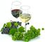 In Piemonte la produzione di cibo e vino DOP e IGP vale un miliardo e 300mila euro