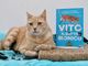 Villanova: la storia di Vito &quot;il gatto bionico&quot; diventa un libro sull'amicizia che non conosce diversità
