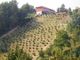 Aree collinari di Valleandona. No alla variante dal Movimento Stop al Consumo di Territorio Astigiano e del Forum Salviamo il Paesaggio