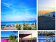 Vallecrosia: vieni a vivere una vacanza indimenticabile in sicurezza nella Riviera dei Fiori!
