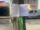 In via Bosio, ad Asti, gli alberi sono &quot;tappezzati&quot; con sacchettini per raccogliere le deiezioni animali