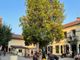 Si arrampica su albero di 10 metri per protesta. Salvato dai vigili del fuoco