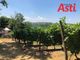 La verticale della Barbera d’Asti Docg Superiore ‘Sei Vigne Insynthesis’ ha aperto la due giorni di festeggiamenti della Cantina di Vinchio - Vaglio Serra [FOTOGALLERY]