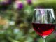OCM Vin Piemonte: 131 milioni di euro spesi in dieci anni