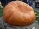 Fiera Nazionale della Zucca delle Meraviglie a Piea 27-29 settembre