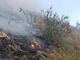 Foreste sicure e lotta agli incendi, la Regione rinnova l'intesa con i carabinieri forestali