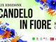 A Biella, Candelo in Fiore 2024: Una edizione tutta dedicata agli Alpini