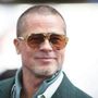 Hanno rubato nella villa di Brad Pitt, arrestati: &quot;Colpivano celebrità e atleti&quot;