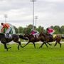 All'Ippodromo Snai San Siro un 2 Giugno di grande sport e intrattenimento All'Ippodromo Snai San Siro un 2 Giugno di grande sport e intrattenimento
